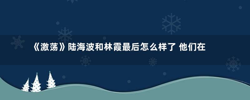 《激荡》陆海波和林霞最后怎么样了 他们在一起了吗